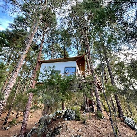 Casita Colgada "Can Lia" La Guancha ภายนอก รูปภาพ
