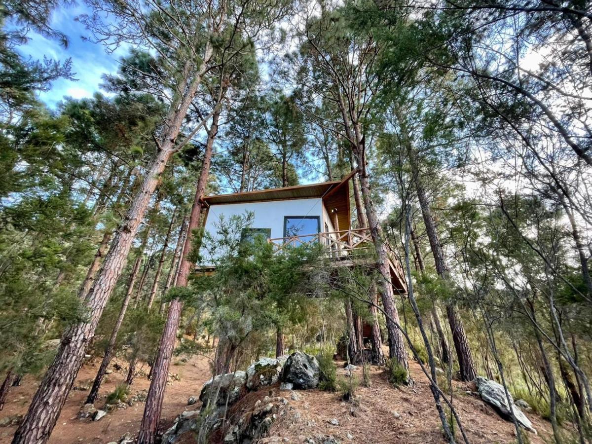 Casita Colgada "Can Lia" La Guancha ภายนอก รูปภาพ
